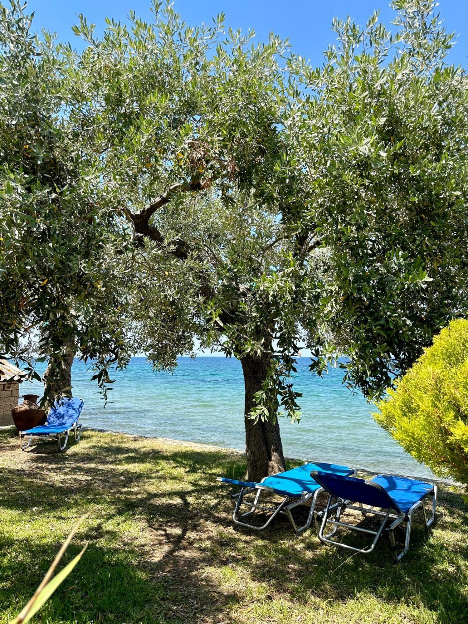 Manolis Studios Thassos Skála Kallirákhis Esterno foto